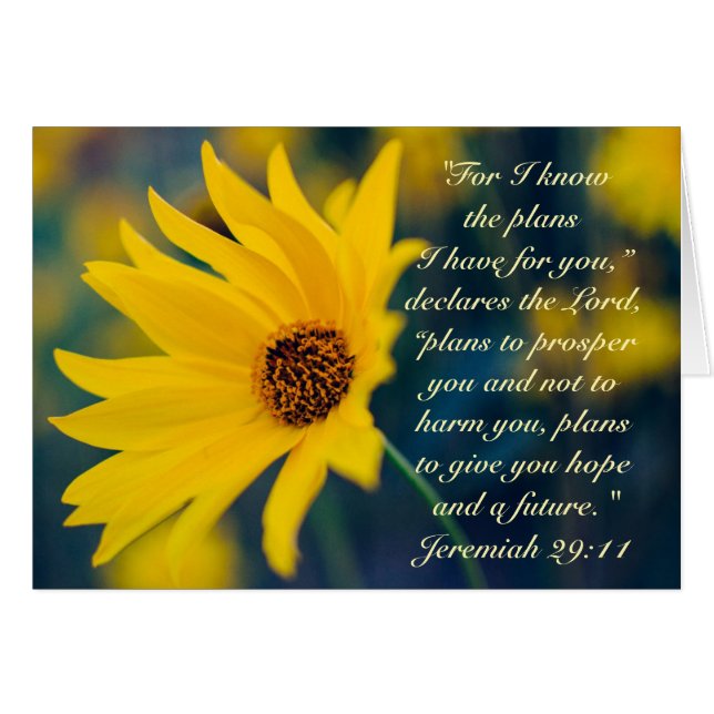 Jeremiah 29:11I know the plans I have for you Card (Front Horizontal)
