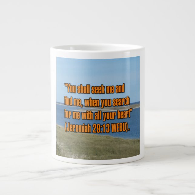 Jeremiah 29:13 WEBU Mug (Front)