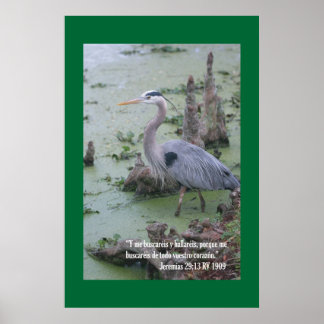 Jeremias 29:13 Cartel Poster