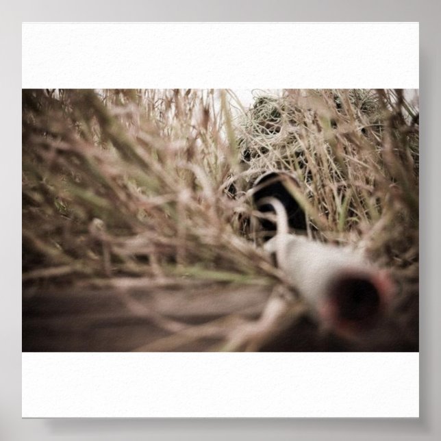 jerry poster (Front)