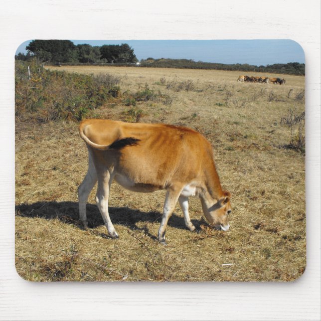 Jersey calf mouse pad (Front)