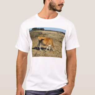 Jersey calf T-Shirt