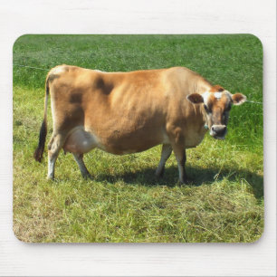 Jersey cow in the Channel Islands Mouse Pad