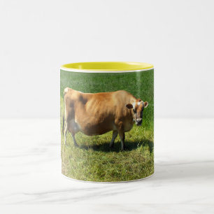 Jersey cow in the Channel Islands Two-Tone Coffee Mug