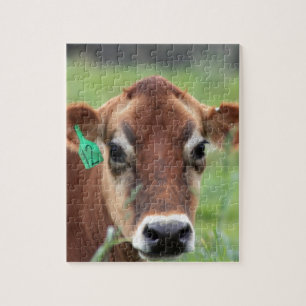 Jersey Cow Jigsaw Puzzle