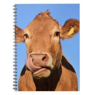 Jersey Cow Licking its Nose Notebook