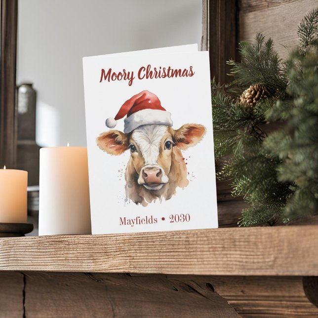 Jersey Cow "Moory Christmas" Folded Holiday Card (Moory Christmas jersey cow folded holiday card with white background)