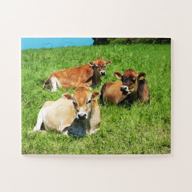Jersey cows farm animal jigsaw puzzle (Horizontal)