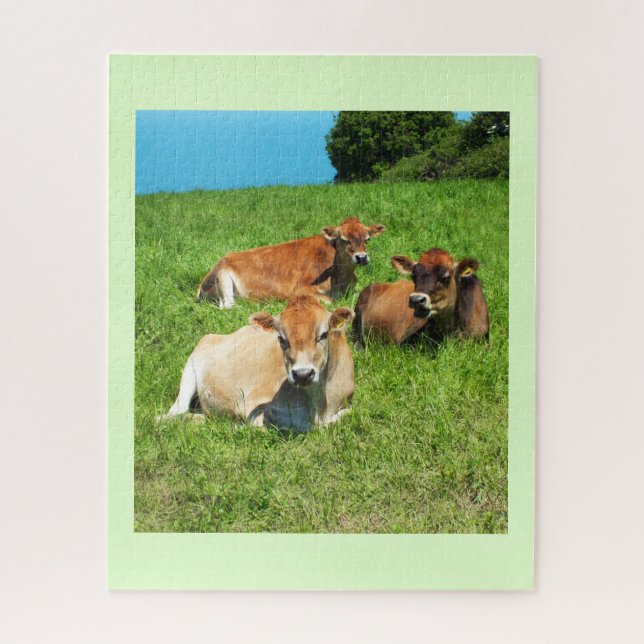 Jersey cows jigsaw puzzle (Vertical)