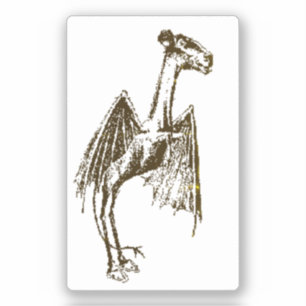 Jersey Devil