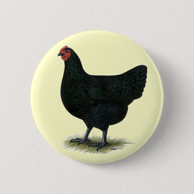 Jersey Giant:  Black Hen 6 Cm Round Badge (Front)