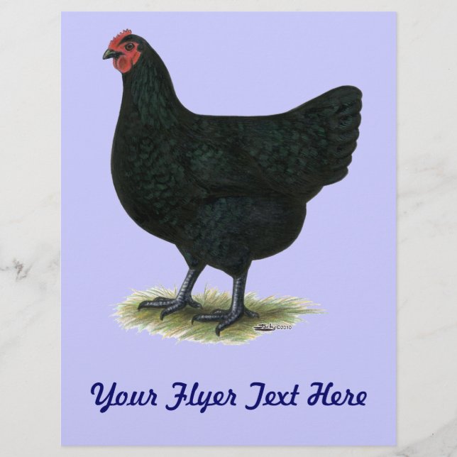 Jersey Giant:  Black Hen Flyer (Front)