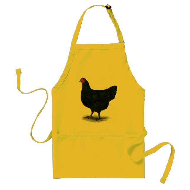 Jersey Giant:  Black Hen Standard Apron (Front)