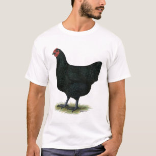 Jersey Giant:  Black Hen T-Shirt