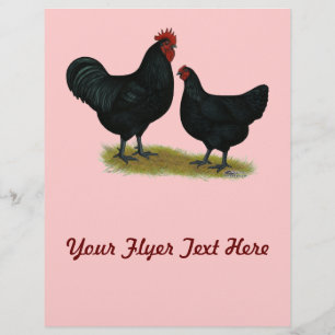 Jersey Giant Chickens Flyer