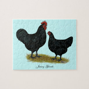 Jersey Giant Chickens Jigsaw Puzzle
