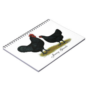 Jersey Giant Chickens Notebook