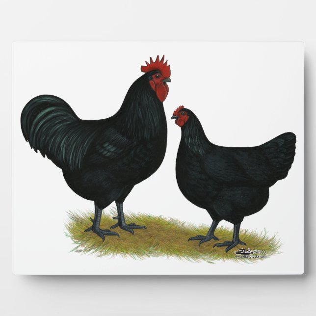 Jersey Giant Chickens Plaque (Front)