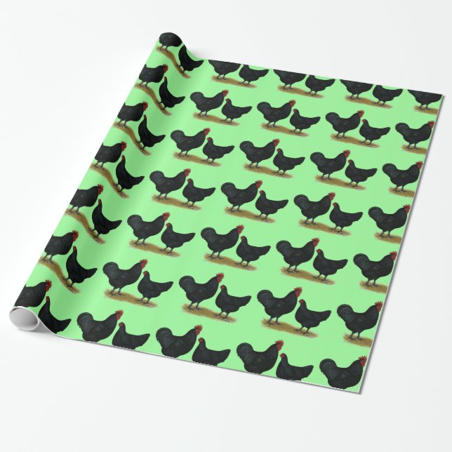 Jersey Giant Chickens Wrapping Paper (Unrolled)