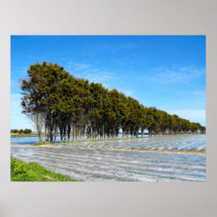 Jersey landscape in springtime poster