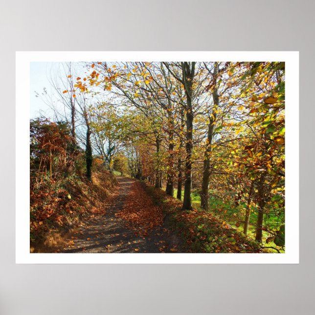 Jersey lane in autumn poster (Front)