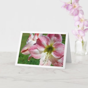 Jersey lily Portrait Card