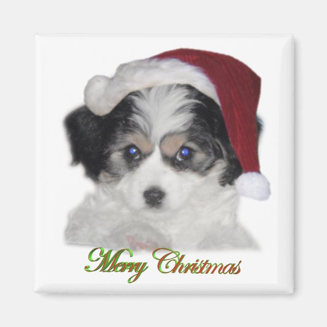 Jersey Santa Christmas Magnet (Front)