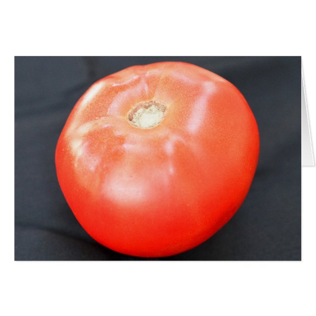 Jersey Tomato 3 (Front Horizontal)