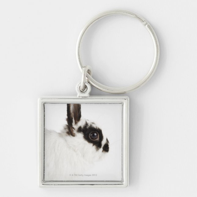 Jersey Wooly Rabbit Key Ring (Front)