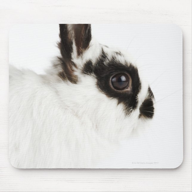 Jersey Wooly Rabbit Mouse Pad (Front)