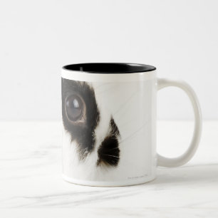 Jersey Wooly Rabbit Two-Tone Coffee Mug