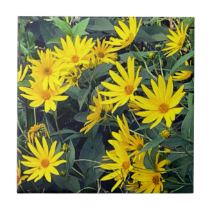 Jerusalem Artichoke Flowers Ceramic Tile