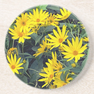 Jerusalem Artichoke Flowers Sandstone Coaster