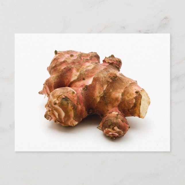 Jerusalem artichoke postcard (Front)