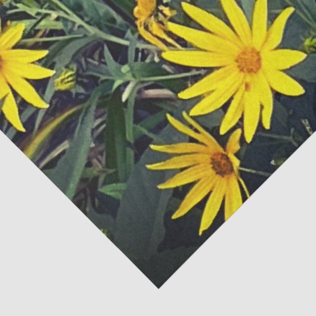 Jerusalem Artichoke Tissue Paper (Detail)