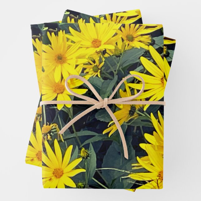 Jerusalem Artichoke Wrapping Paper Sheet (In situ)