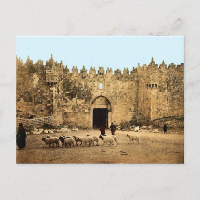 Jerusalem - Damascus Gate Postcard (Front)