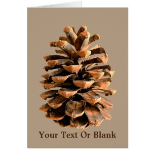 Jerusalem Pine Cone