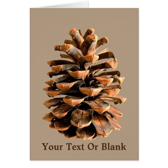 Jerusalem Pine Cone (Front)