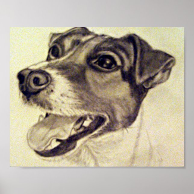 Jester the Jack Russell Terrier Poster (Front)