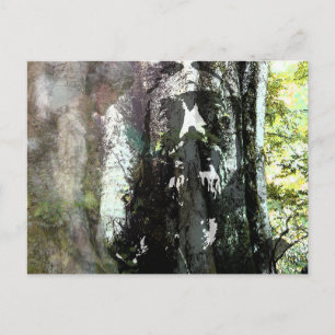 Jesus and the Tree Postcard