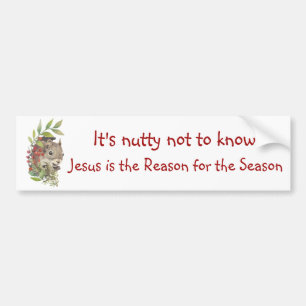 "Jesus is the reason for the season" Fun Squirrel Bumper Sticker