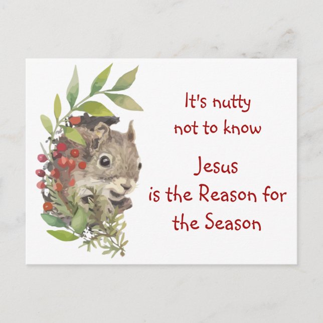 "Jesus is the reason for the season" Fun Squirrel  Postcard (Front)