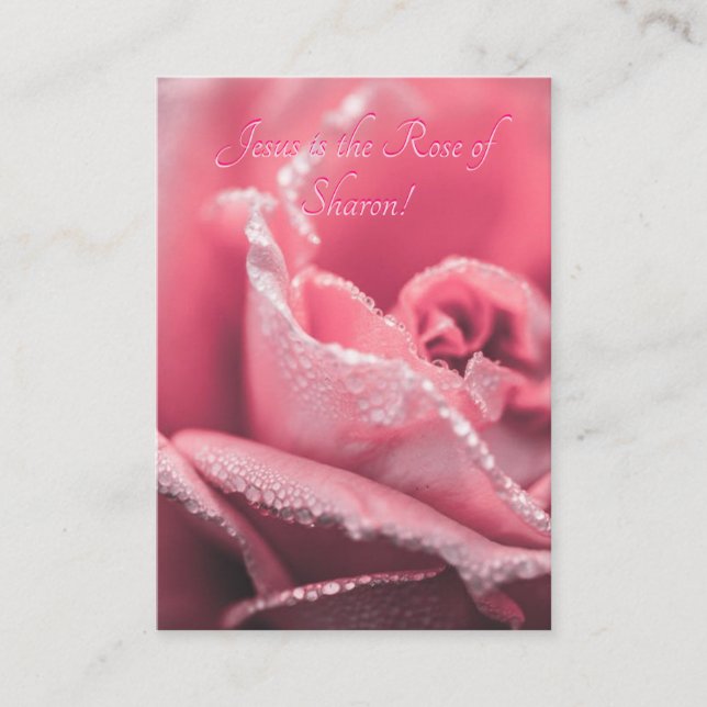 Jesus is "The Rose of Sharon" template (Front)