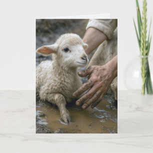 Jesus Rescuing a Lamb Card