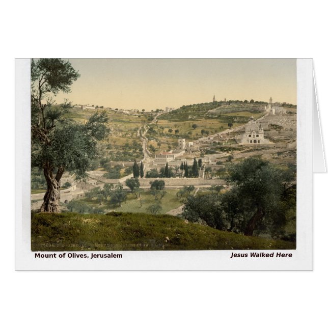 Jesus Walked Here: Mt. of Olives, Jerusalem (Front Horizontal)