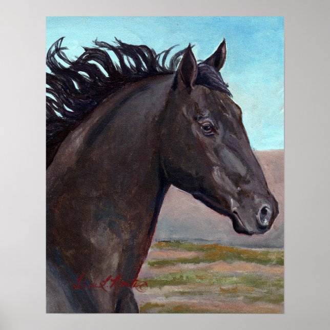 Jet : Band Stallion Of Sand Wash Basin Poster (Front)