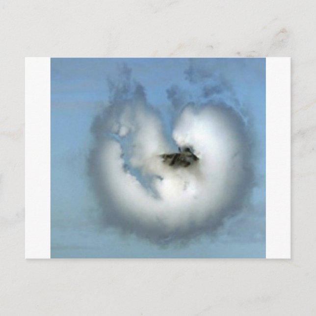 JET FIGHTER IN VAPOR POSTCARD (Front)