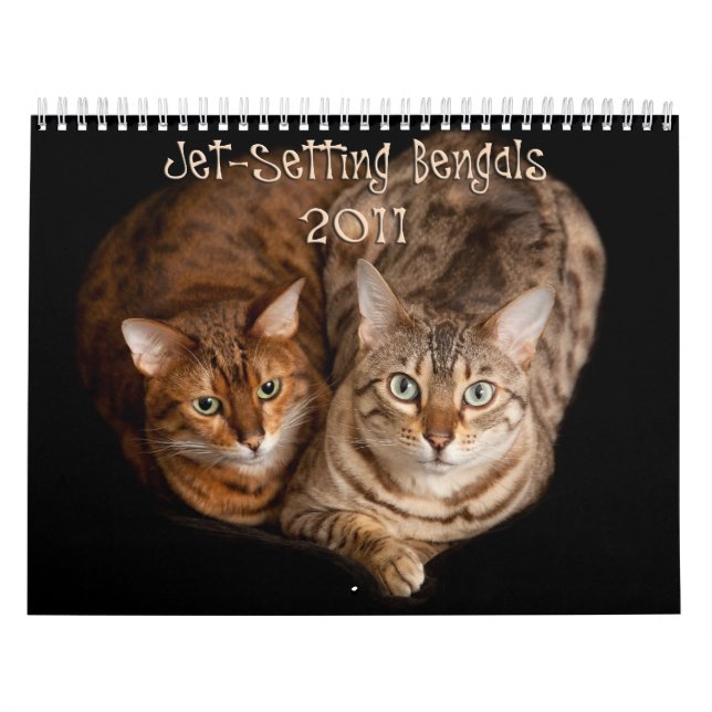 Jet Setting Bengals Calendar (Cover)