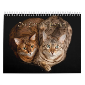 Jet Setting Bengals Calendar